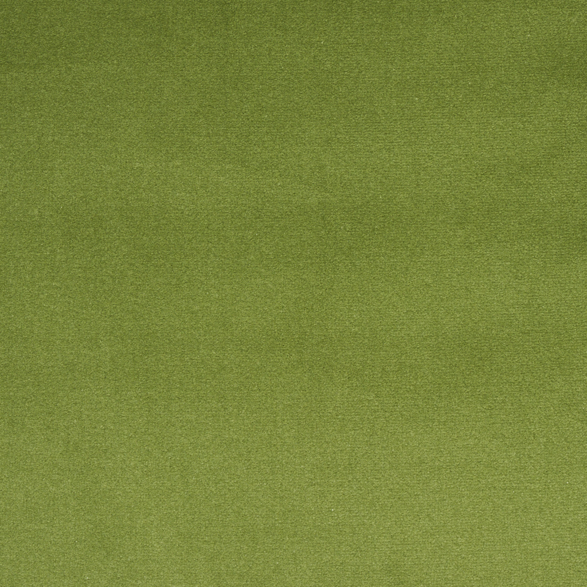 COTTON-CLUB-VELVET-SAGE-SCHUMACHER-43424
