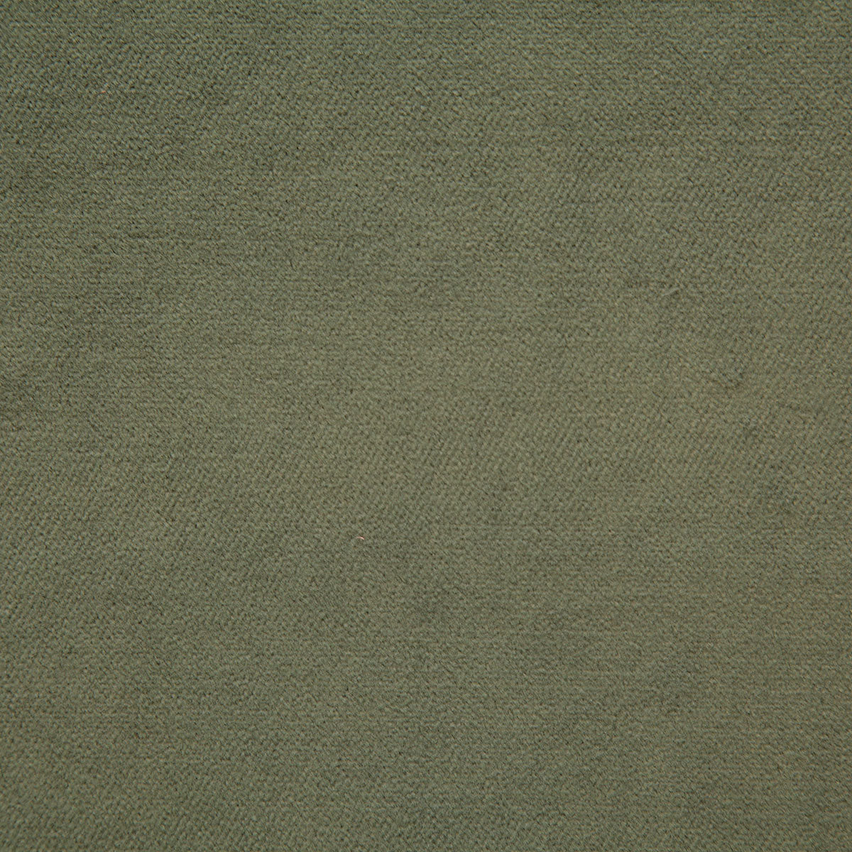 4476-amori-fern-pindler - Pindler Fabric