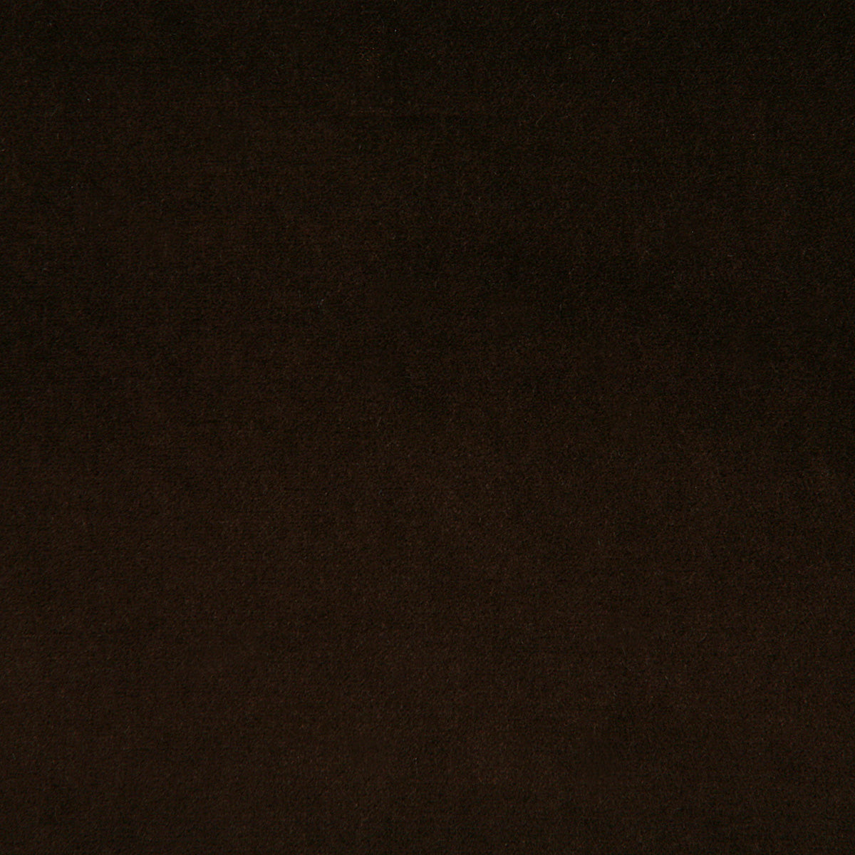 4476-amori-godiva-pindler