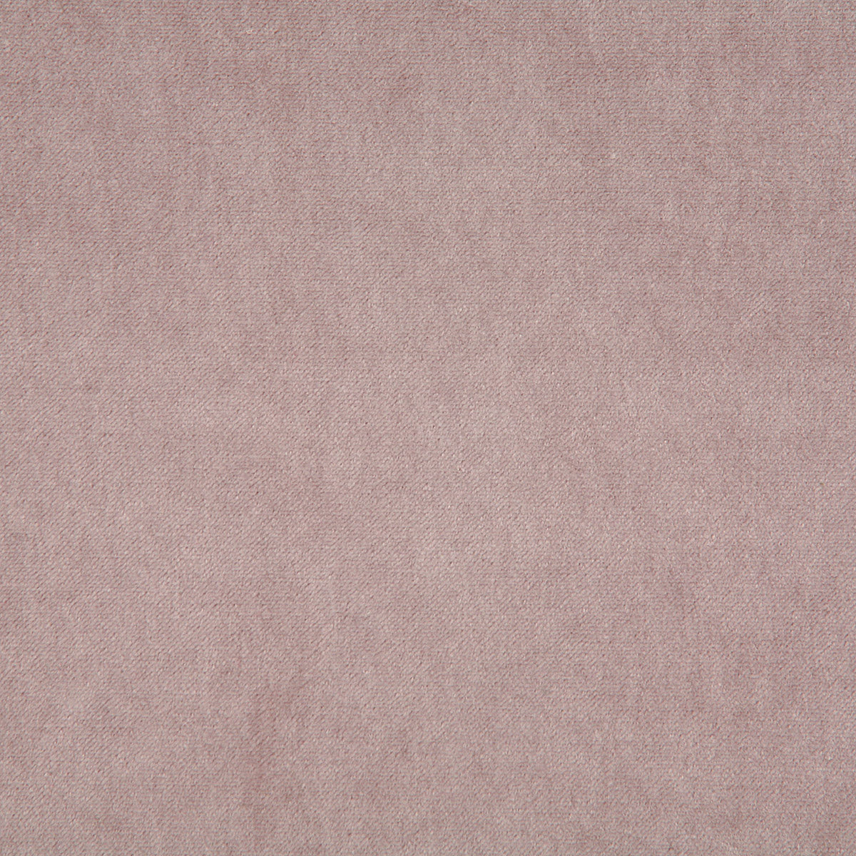 4476-amori-opal-pindler