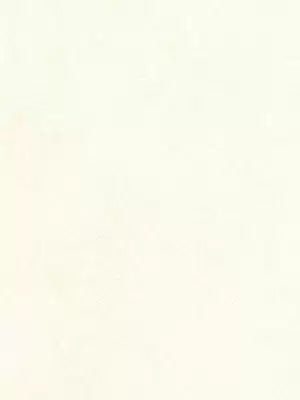 quartz-osborne-little-cw5410-29