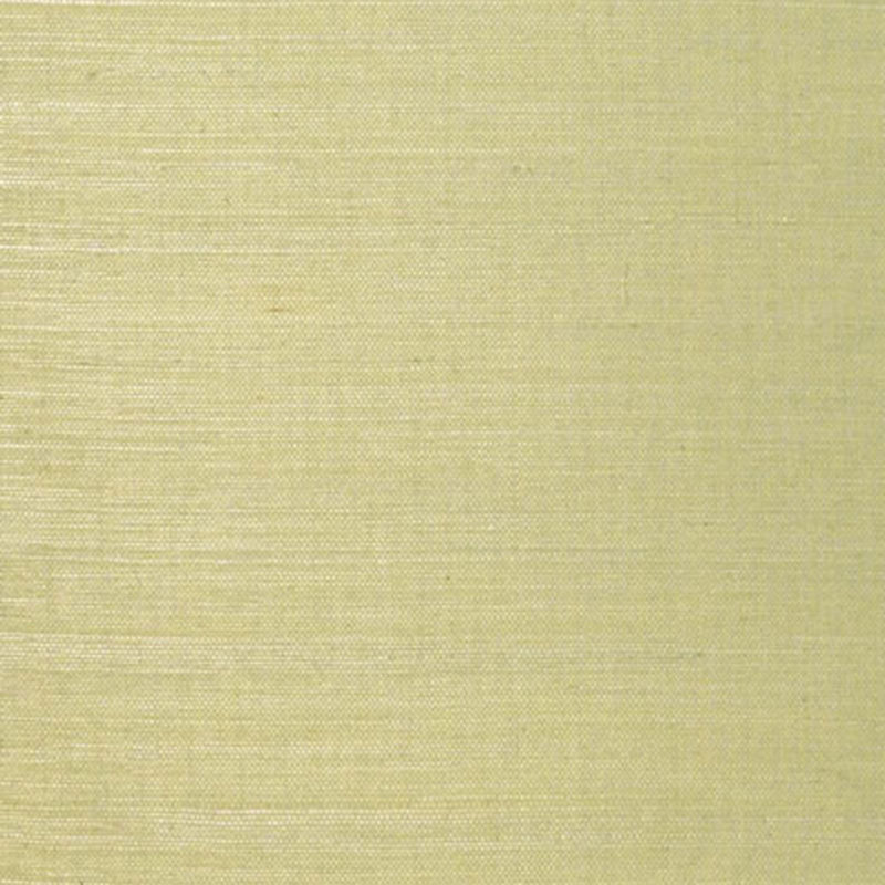 LINYI-GROUND-CELERY-SCHUMACHER-5003591