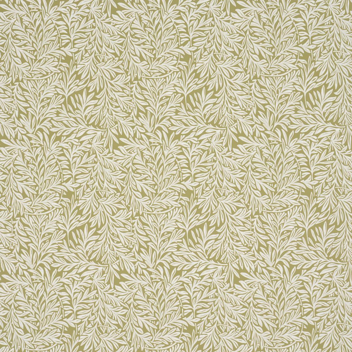 WILLOW-LEAF-MOSS-SCHUMACHER-5004137