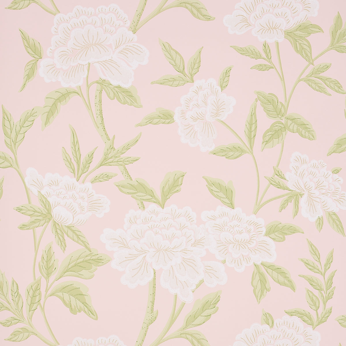 WHITNEY-FLORAL-BLUSH-SCHUMACHER-5004386