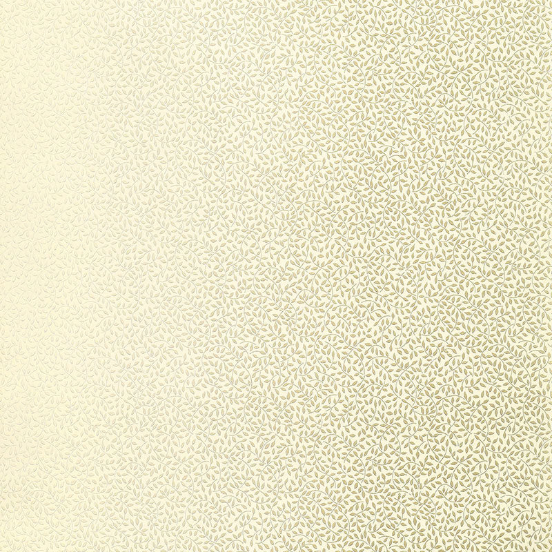 CELANO-VINE-MINERAL-SCHUMACHER-5004443