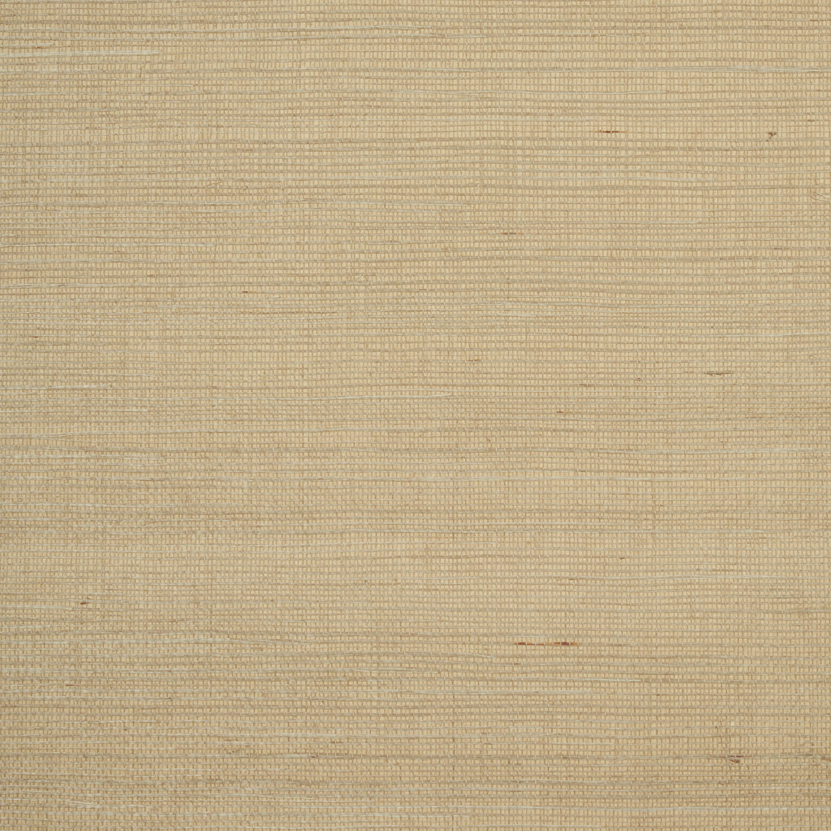 HARUKI-SISAL-DRIFTWOOD-SCHUMACHER-5004702