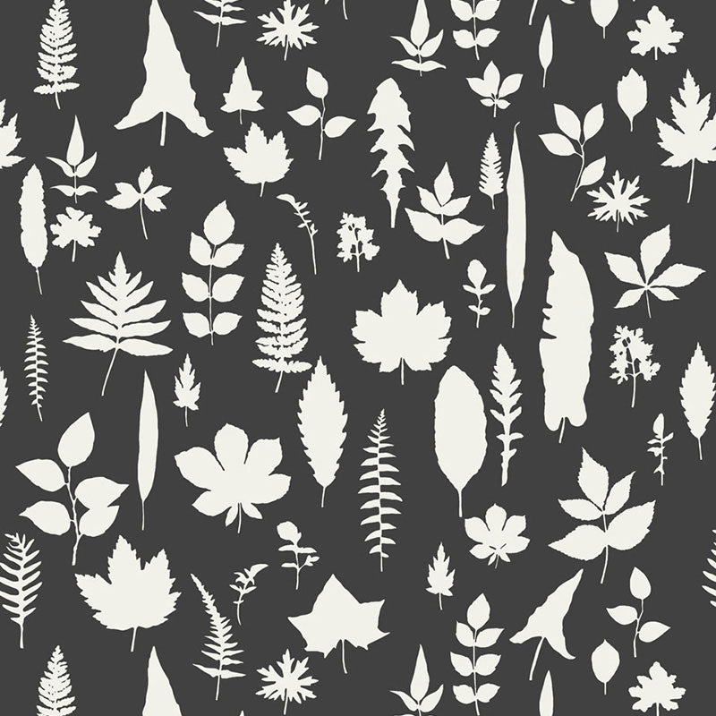 LEAVES-GRAPHITE-SCHUMACHER-5005023