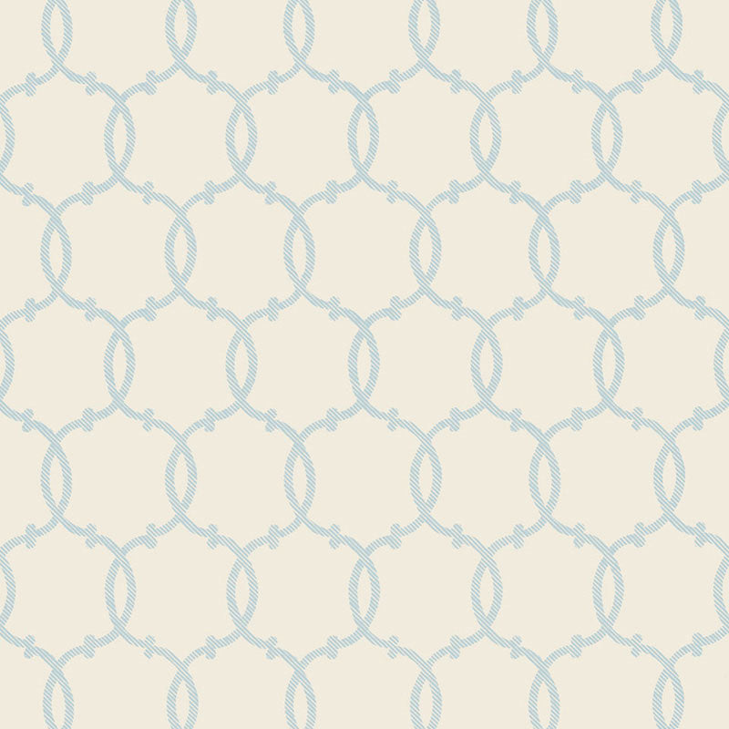 TRACERY-SKY-SCHUMACHER-5005120