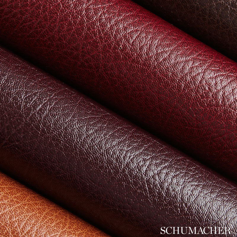 CANYON-LEATHER-HUNTER-SCHUMACHER-5006214