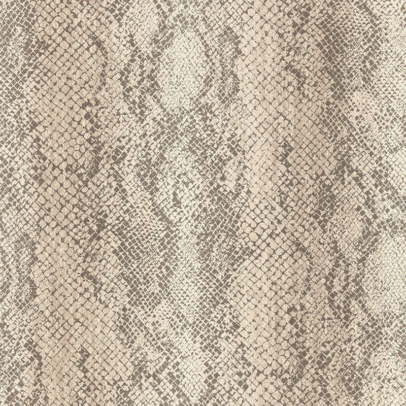 CODY-SNAKESKIN-MALT-SCHUMACHER-5006230