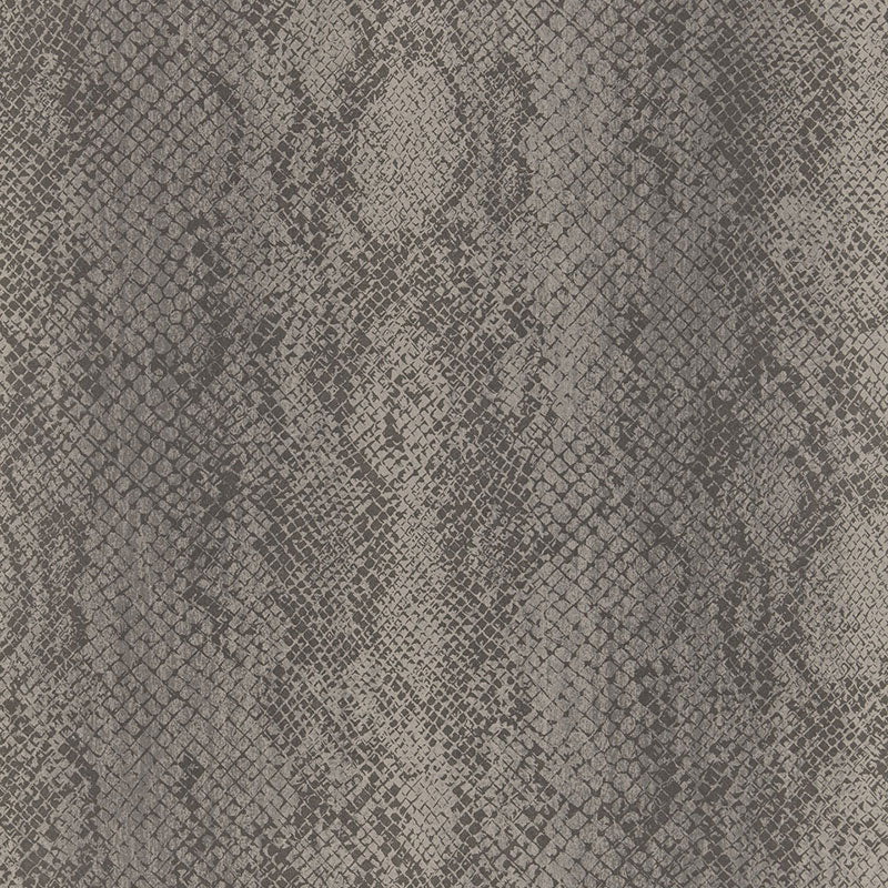 CODY-SNAKESKIN-SMOKE-SCHUMACHER-5006232