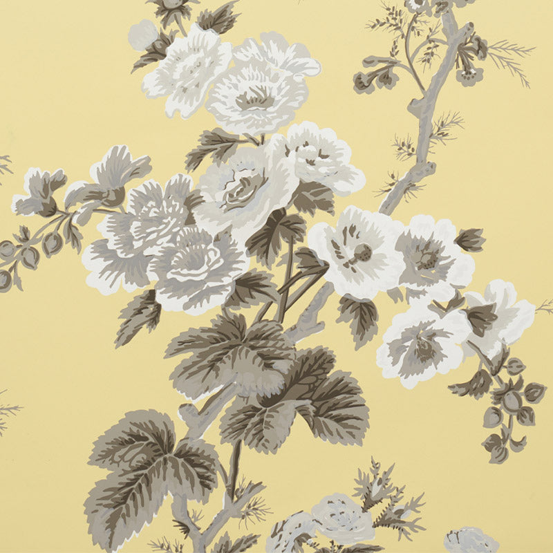 PYNE-HOLLYHOCK-BUTTERCUP-SCHUMACHER-5006925