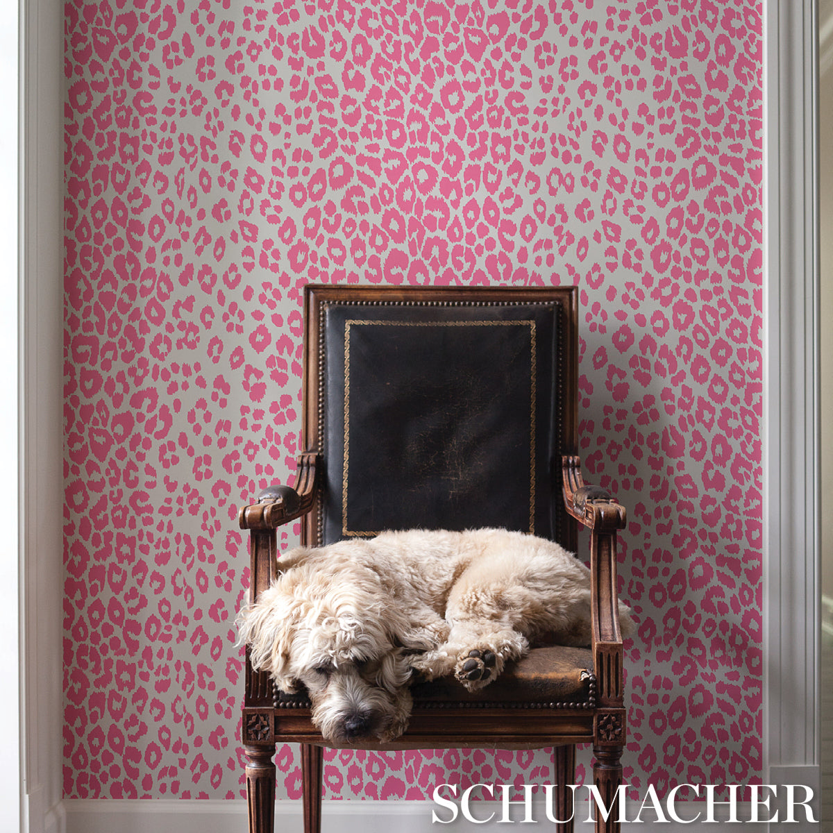ICONIC-LEOPARD-PINK-SCHUMACHER-5007016
