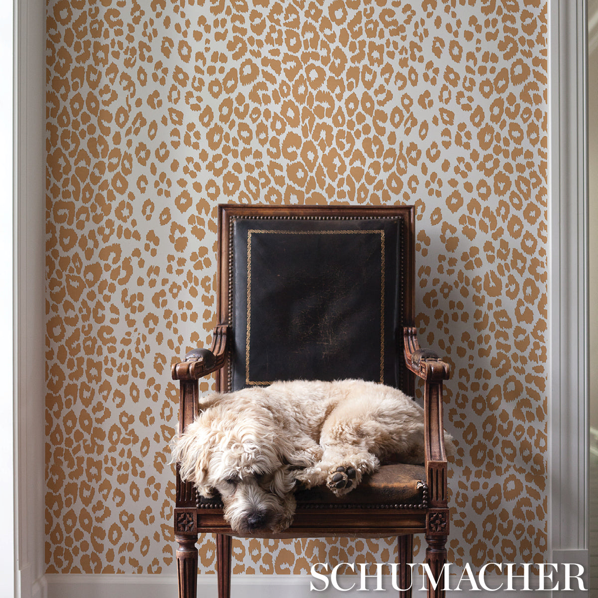 ICONIC-LEOPARD-CAMEL-SCHUMACHER-5007017