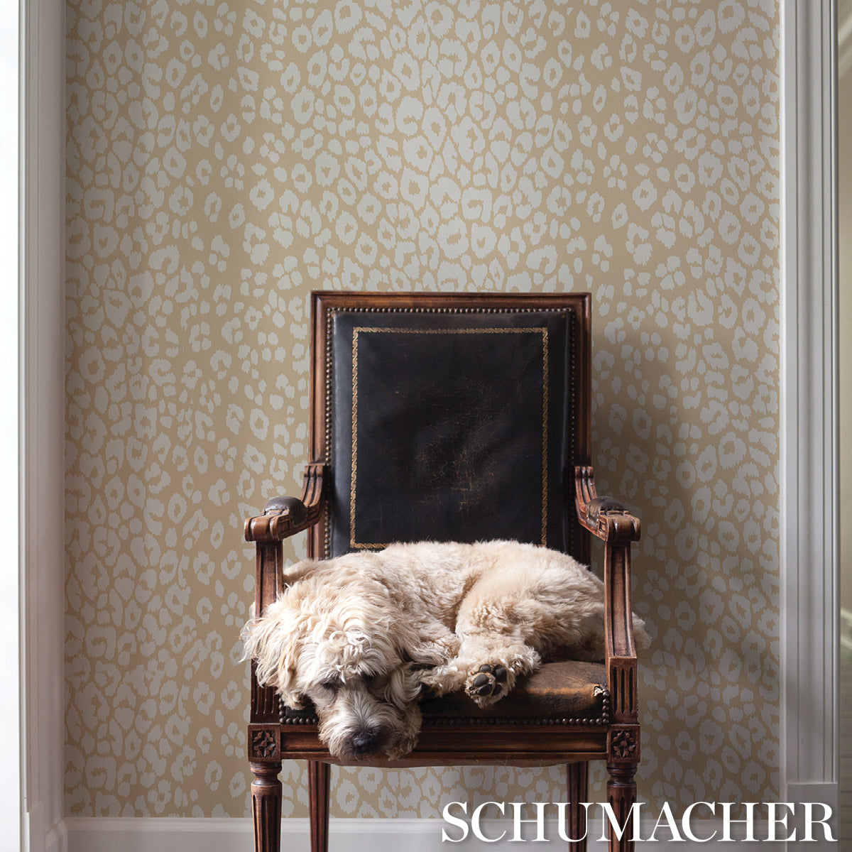 ICONIC-LEOPARD-IVORY-ON-NEUTRAL-SCHUMACHER-5007020
