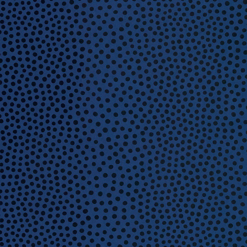 RAINDOTS-MARINE-NOIR-SCHUMACHER-5007504