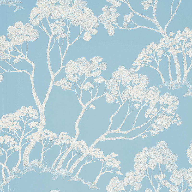 TIMBER-CLOUD-SCHUMACHER-5007982