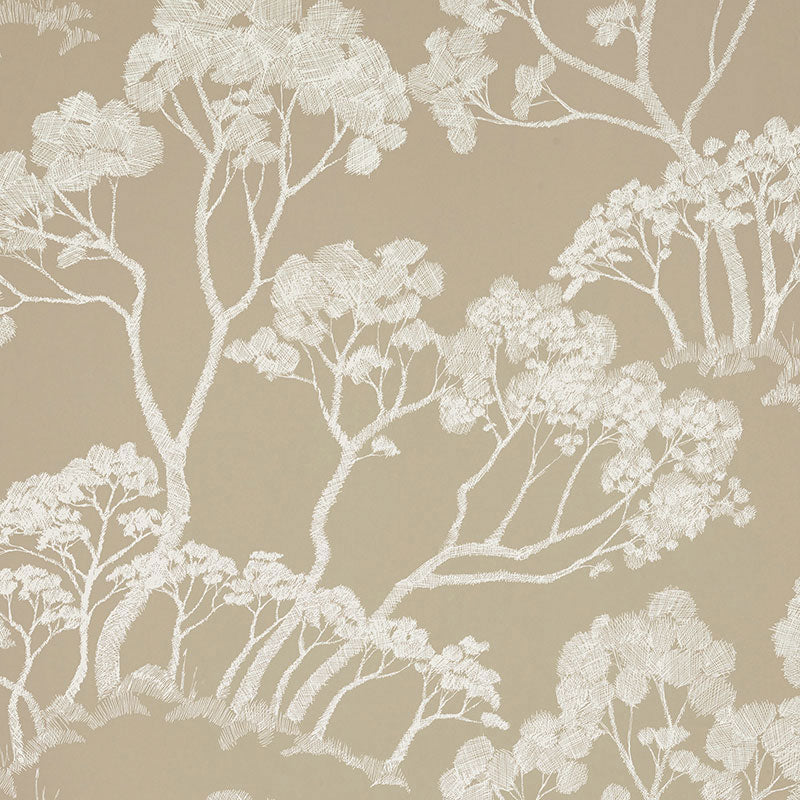 TIMBER-NATURAL-SCHUMACHER-5007983