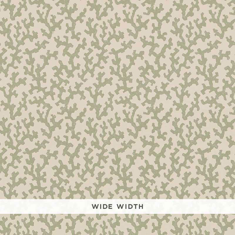 FOLLY-SAGE-SCHUMACHER-5008003