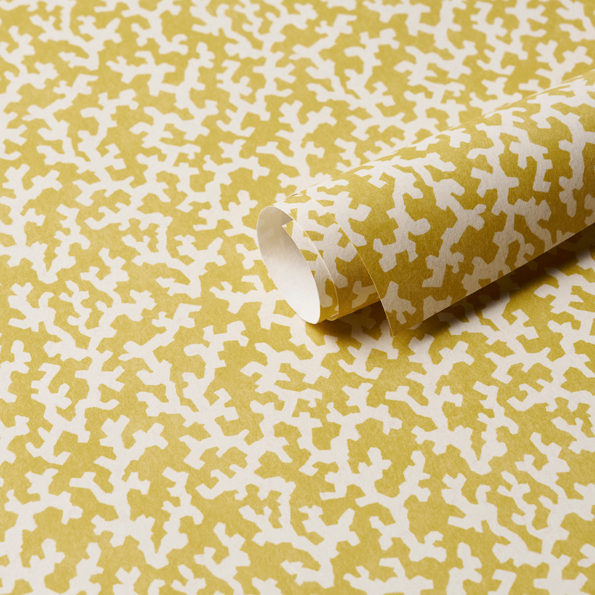 FOLLY-MIMOSA-SCHUMACHER-5008007