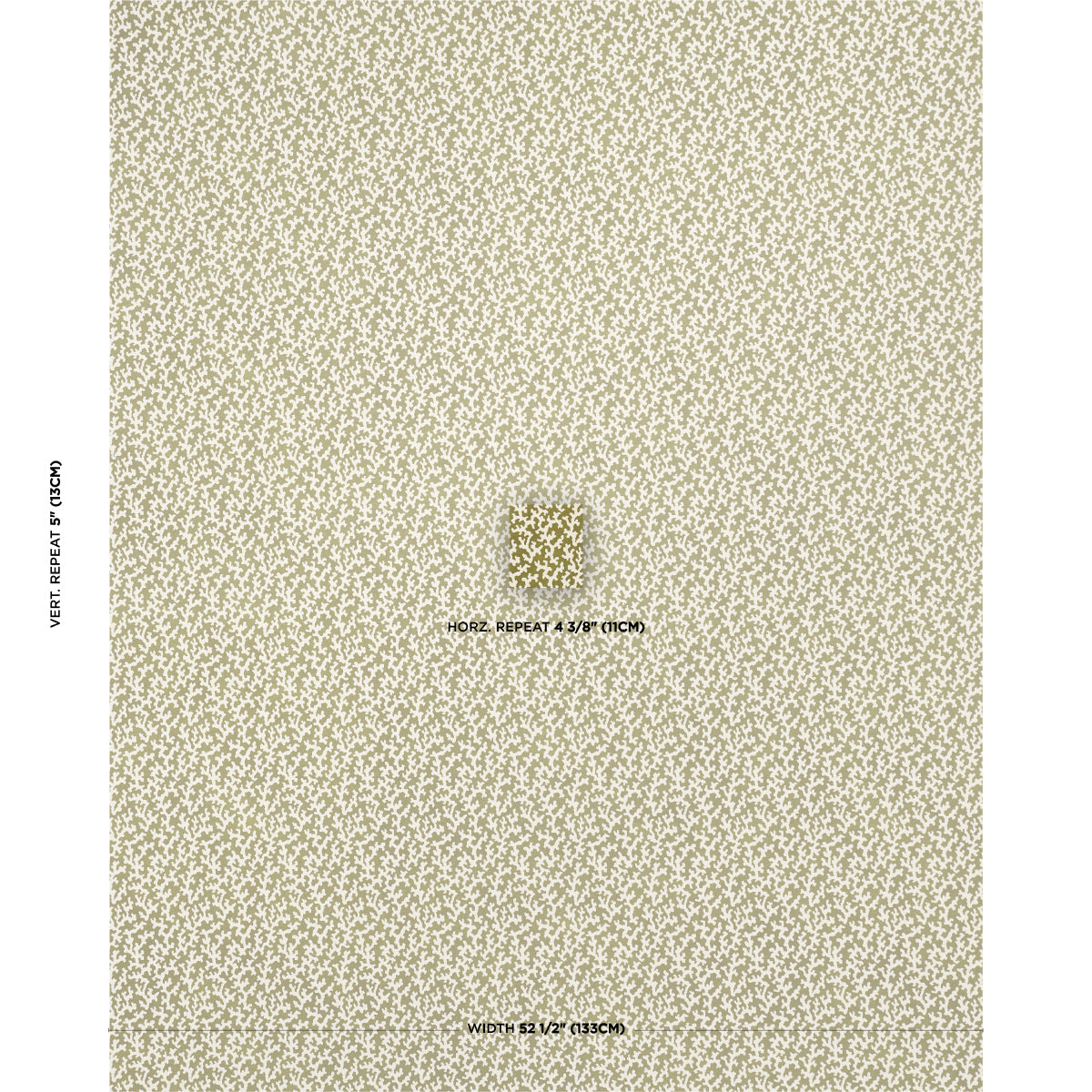 FOLLY-OLIVE-SCHUMACHER-5008008
