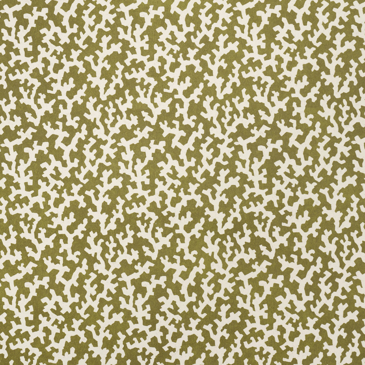FOLLY-OLIVE-SCHUMACHER-5008008