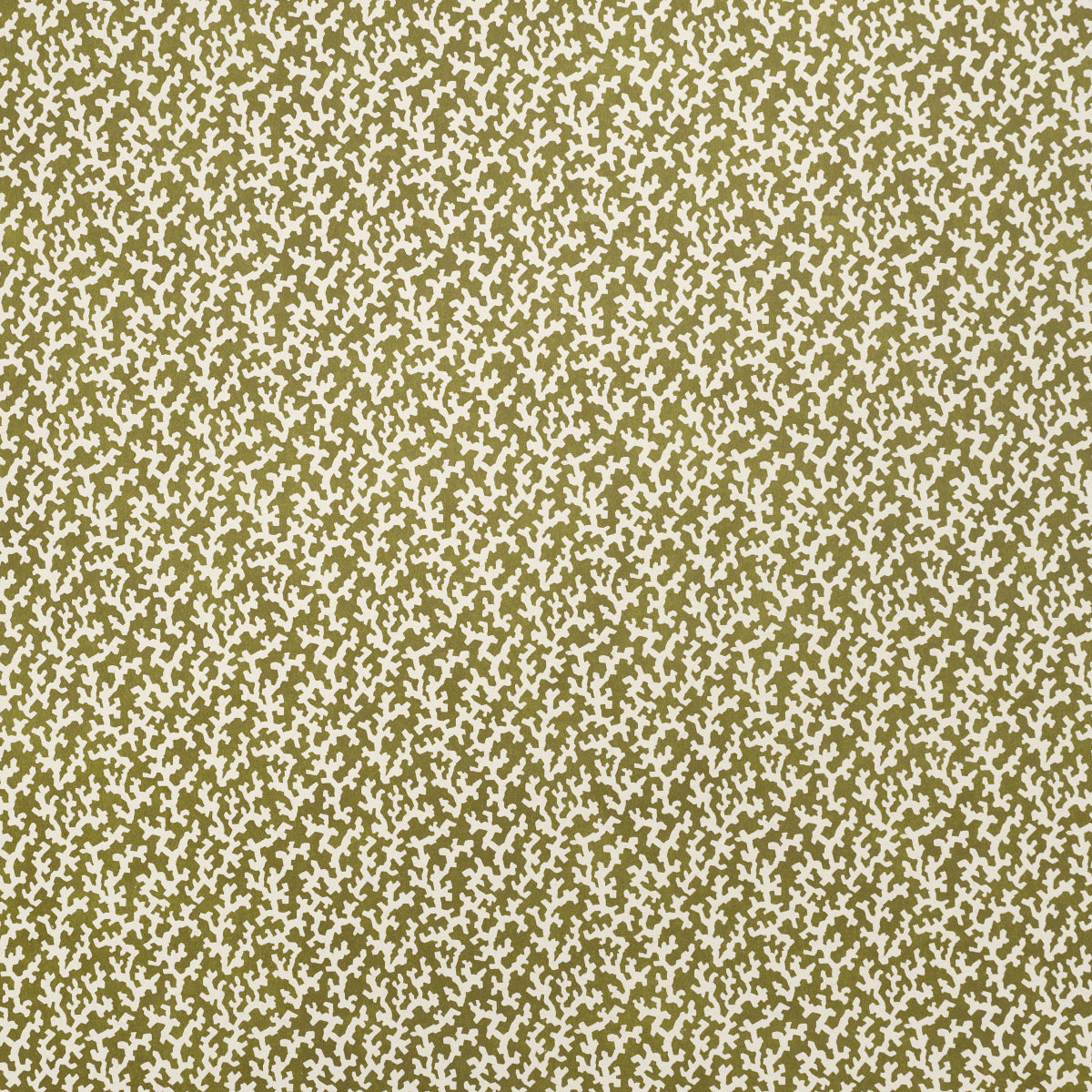 FOLLY-OLIVE-SCHUMACHER-5008008