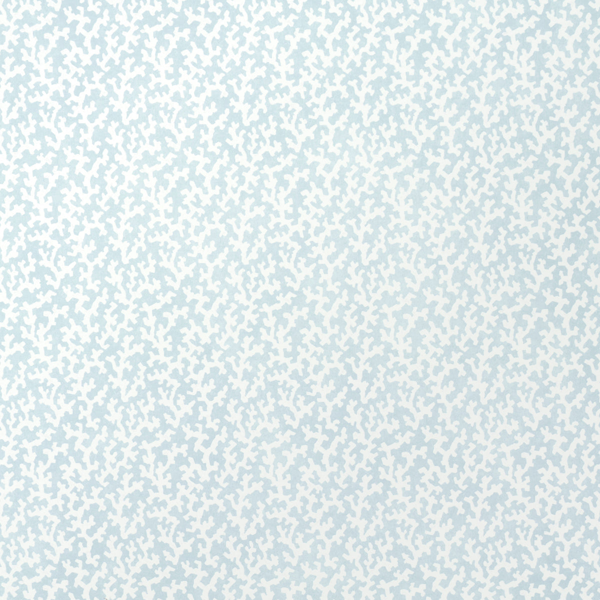 FOLLY-SKY-SCHUMACHER-5008009