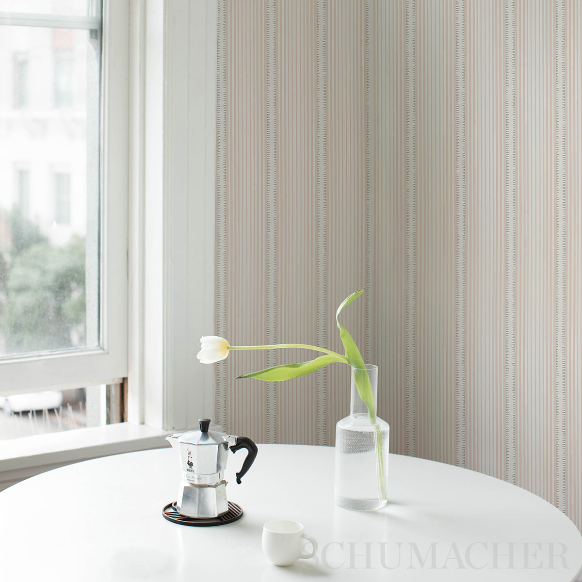 MONCORVO-PINK-SCHUMACHER-5008106