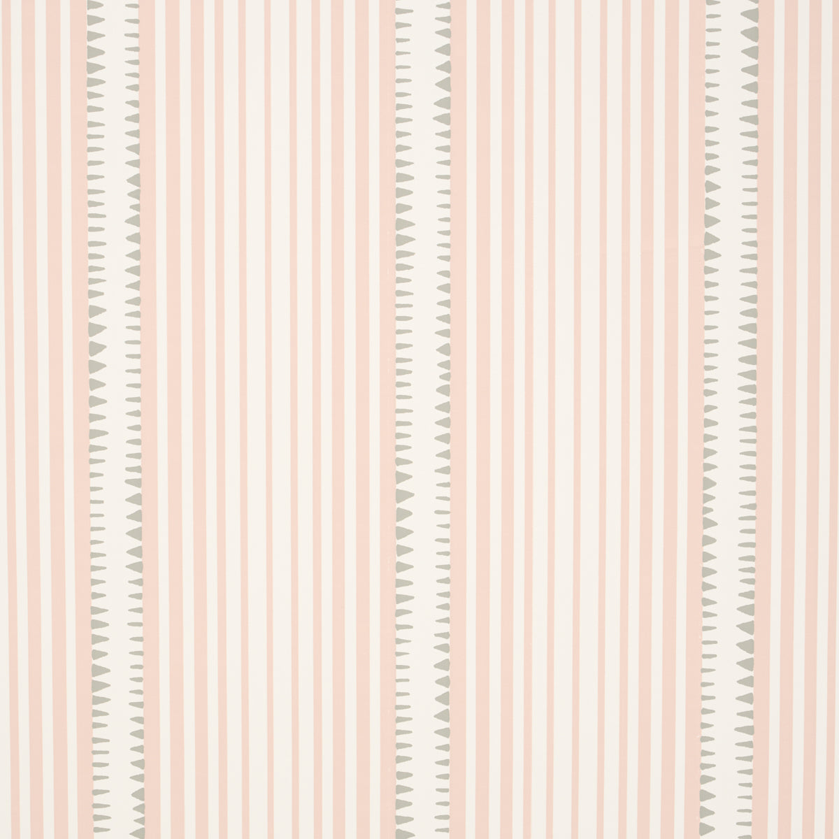 MONCORVO-PINK-SCHUMACHER-5008106