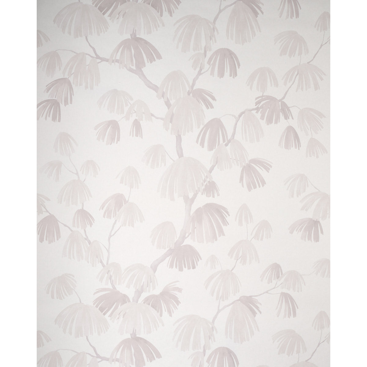 WEEPING-PINE-CLOUD-SCHUMACHER-5008333