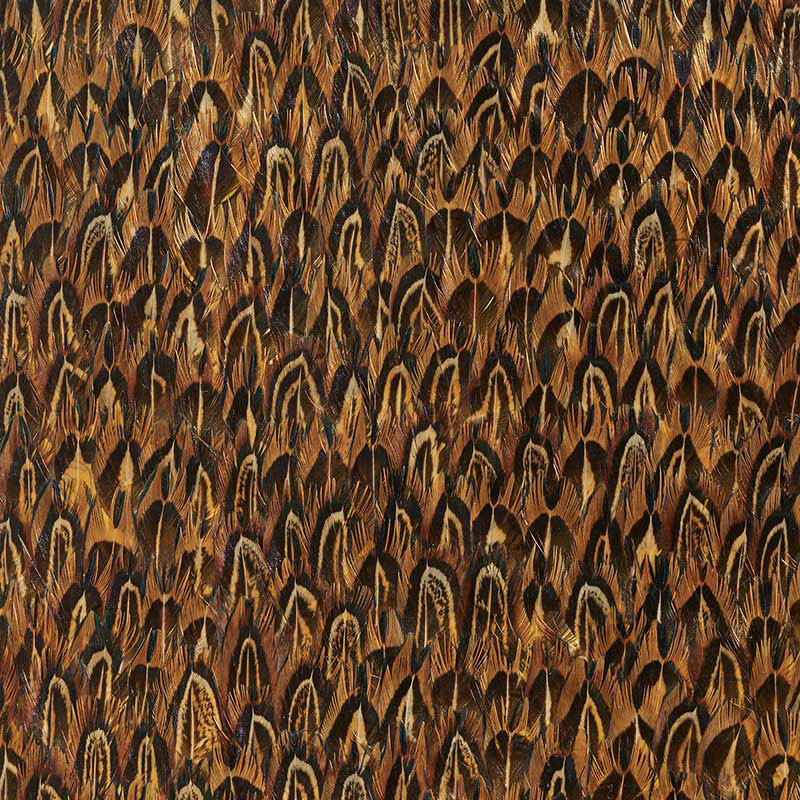 GOLD-QUAIL-SCHUMACHER-5008376