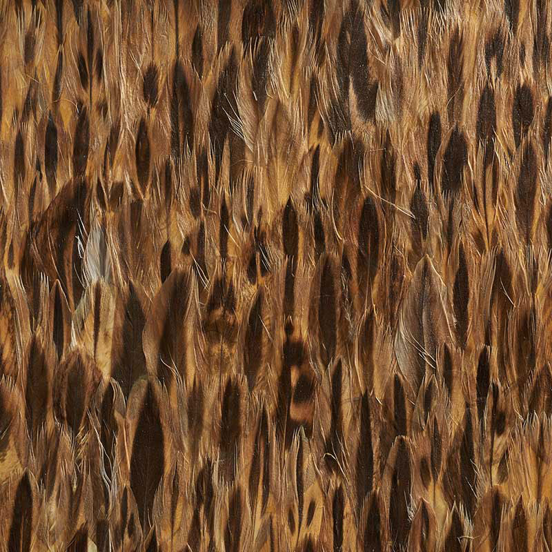 AMBER-COCO-SCHUMACHER-5008377