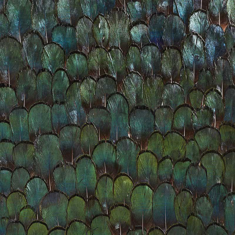 JADE-FOREST-GREEN-SCHUMACHER-5008380