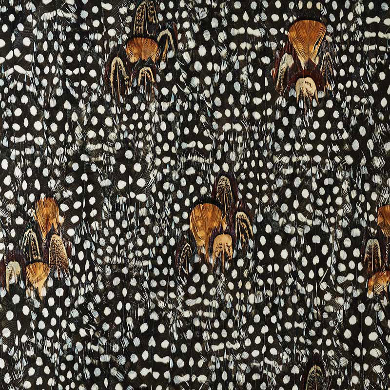 ARGENTITE-CORAL-SCHUMACHER-5008394