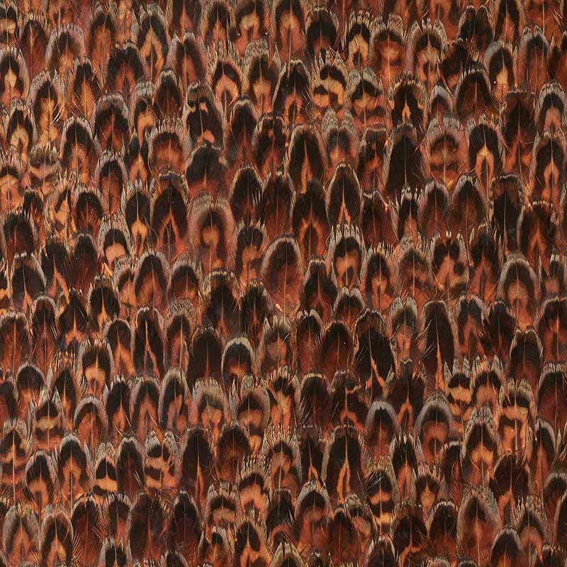 AGATE-CHESTNUT-SCHUMACHER-5008402