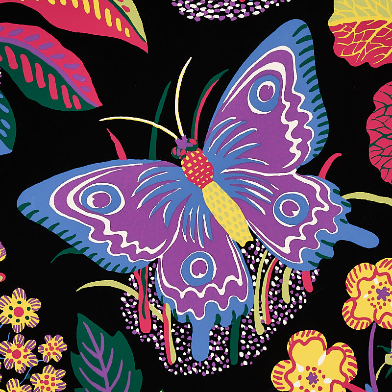 EXOTIC-BUTTERFLY-BLACK-SCHUMACHER-5008422
