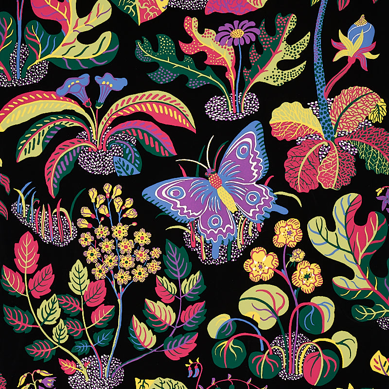 EXOTIC-BUTTERFLY-BLACK-SCHUMACHER-5008422