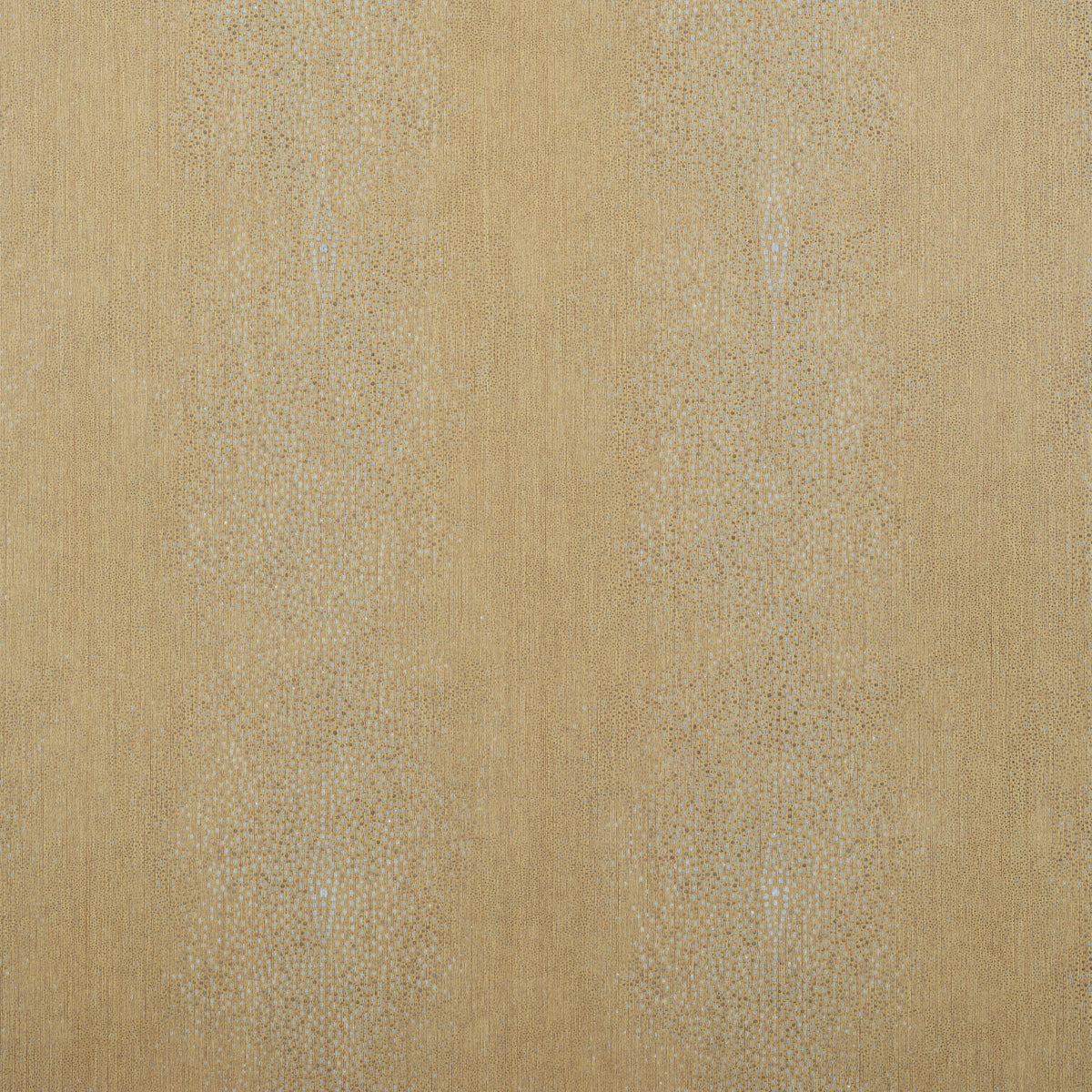 CARLISLE-GOLD-SCHUMACHER-5008481