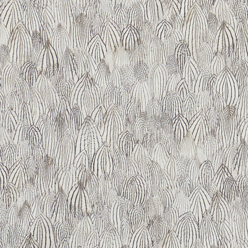 FEATHERS-ZEBRA-SCHUMACHER-5008610