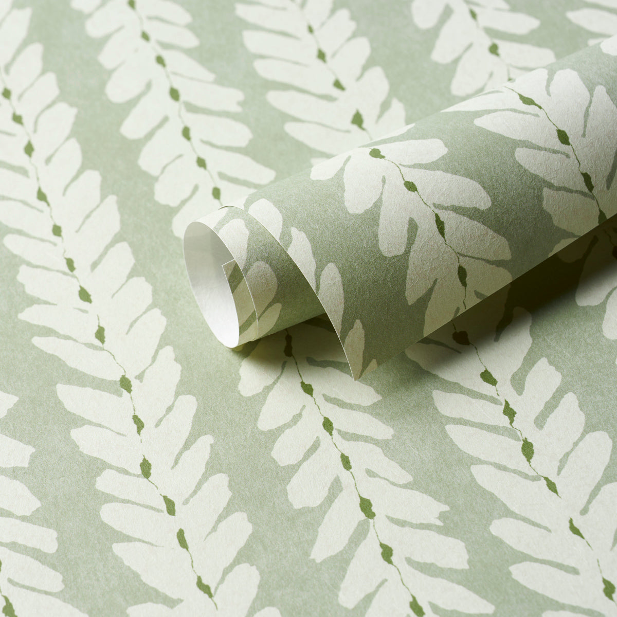 WOODPERRY-CELADON-SCHUMACHER-5008793