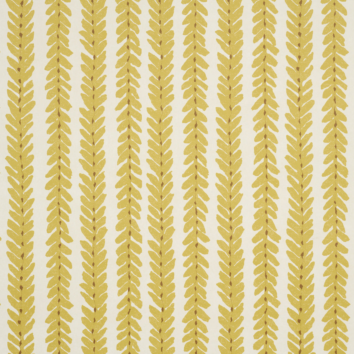 WOODPERRY-MIMOSA-SCHUMACHER-5008795