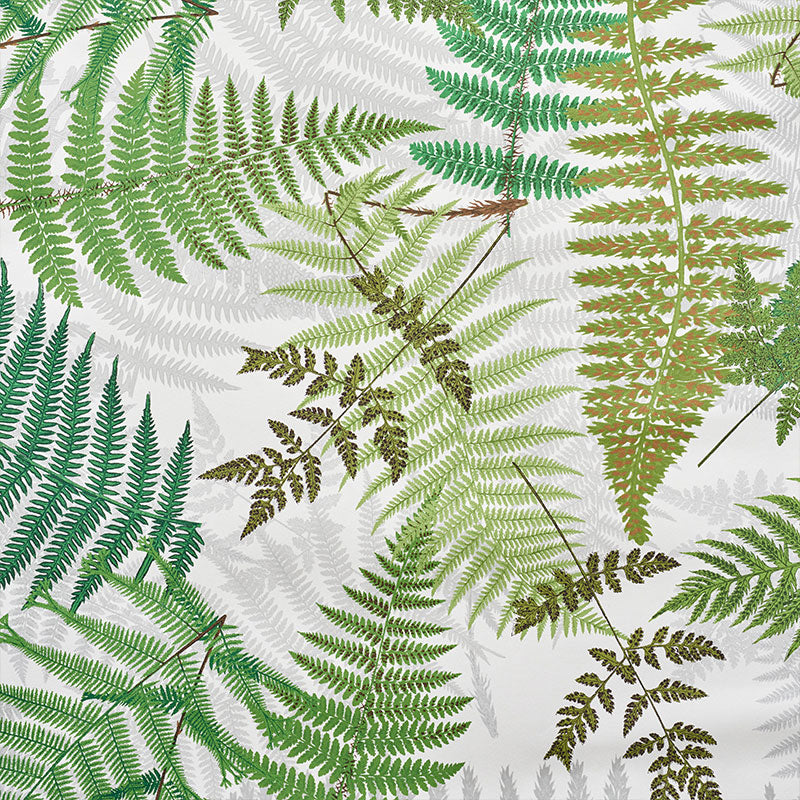 FERNARIUM-IVORY-LEAF-SCHUMACHER-5009190