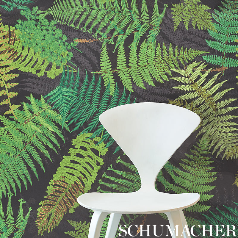 FERNARIUM-BLACK-LEAF-SCHUMACHER-5009191