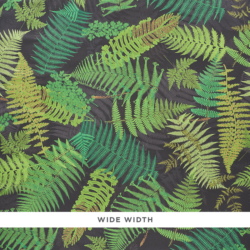 FERNARIUM-BLACK-LEAF-SCHUMACHER-5009191