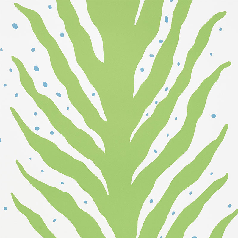 CREEPING-FERN-MOSS-SCHUMACHER-5009450