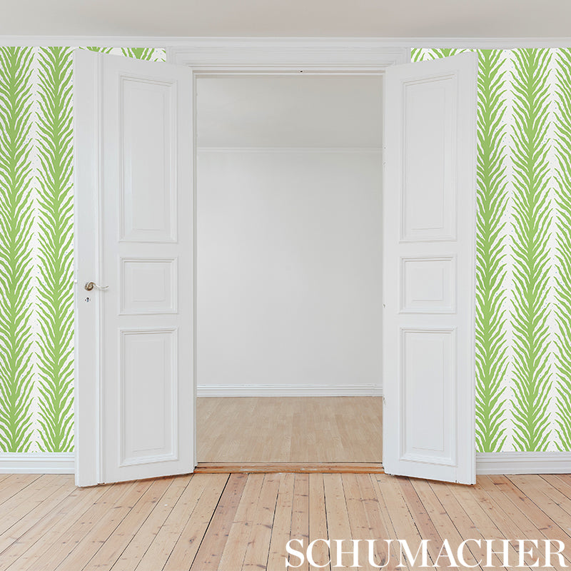 CREEPING-FERN-MOSS-SCHUMACHER-5009450