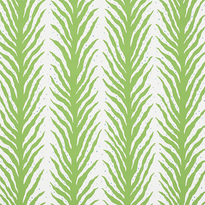 CREEPING-FERN-MOSS-SCHUMACHER-5009450