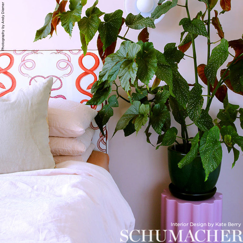 GIOVE-RUBY-GARNET-SCHUMACHER-5009461