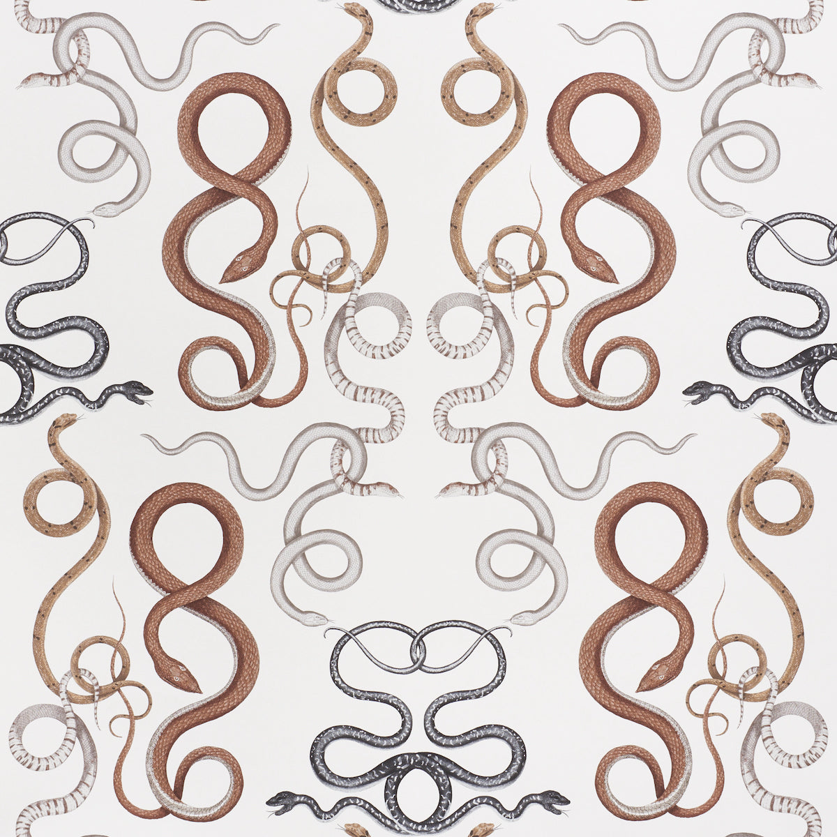 GIOVE-AGATE-ONYX-SCHUMACHER-5009462